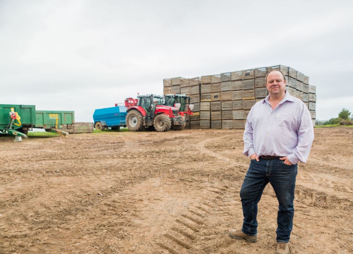 British Potato tweet media