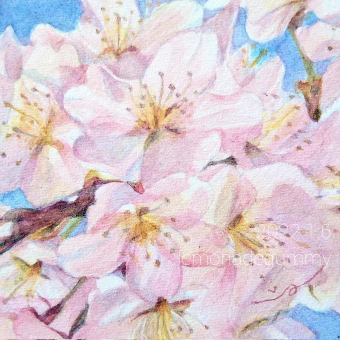 #桜の作品でTLにも桜を咲かせましょう 儚くてやわらかい桜が好きです 