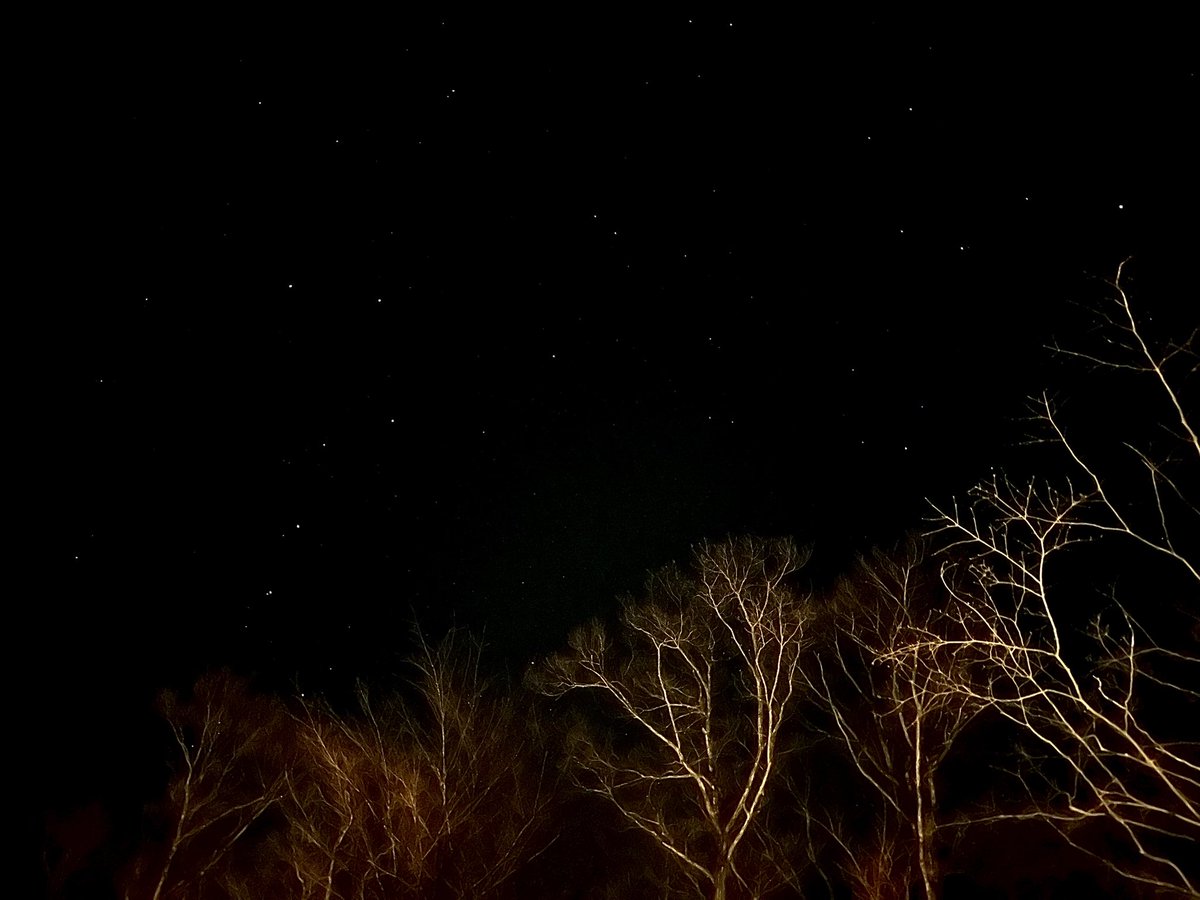 bobobonoboat's tweet photo. 夜のファクトランド✨✨✨空、星、空気が、綺麗👍
#FACTLAND #キャンプ #栃木 #那須 https://t.co/ZL2NfE2kcQ