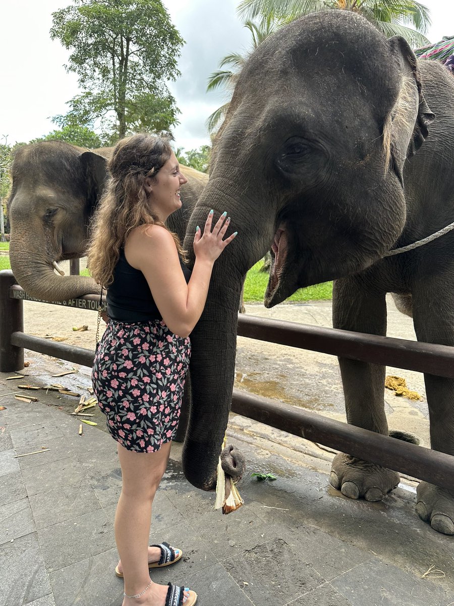 CryptoJuju97's tweet photo. Bali 🇮🇩 Sumatran Elephants 🐘🌱
#masonadventures #elephant #Bali #love #rescued #sumatranelephants #happygirl #Dreamscometrue https://t.co/tXChZqwvw2