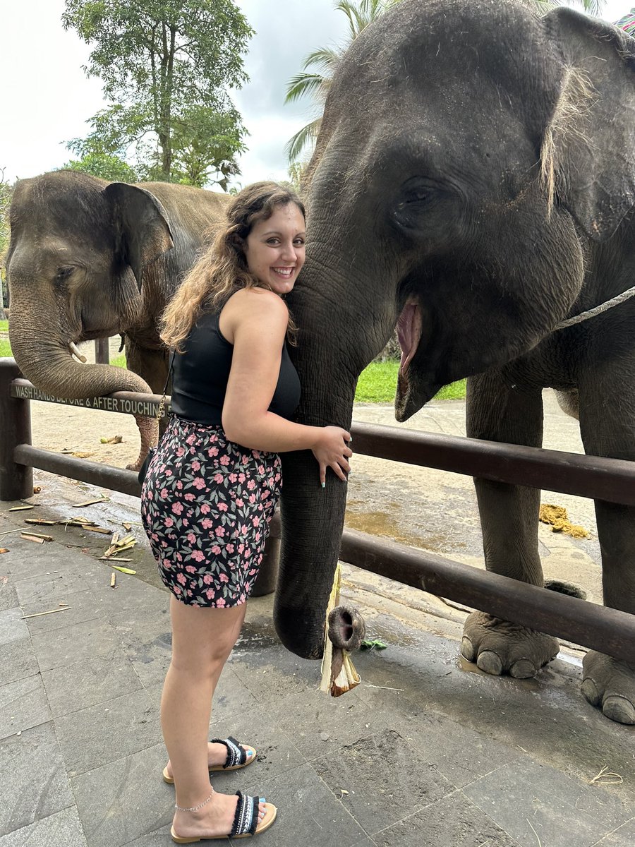 CryptoJuju97's tweet photo. Bali 🇮🇩 Sumatran Elephants 🐘🌱
#masonadventures #elephant #Bali #love #rescued #sumatranelephants #happygirl #Dreamscometrue https://t.co/tXChZqwvw2