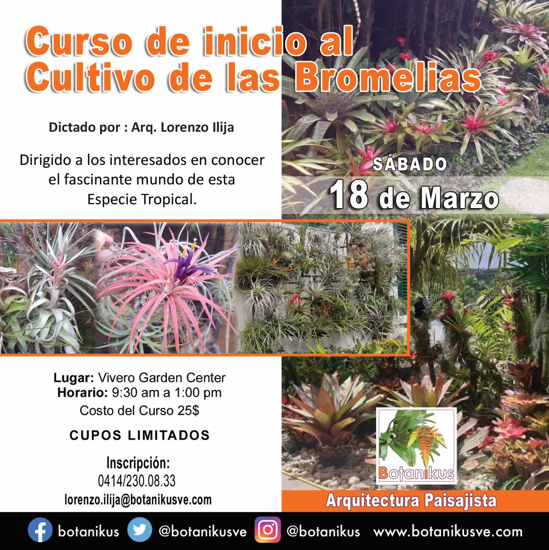 ¡Nos encantaría tenerte en nuestro próximo curso de Botanikus donde te prepararemos para iniciar el cultivo de las Bromelias! Adquiere tu cupo y prepárate para descubrir los secretos de este arte🌱💐
llama al (0414) 2300833 
@Botanikusve #CultivoDeBromelias #JardineriaBotanikus