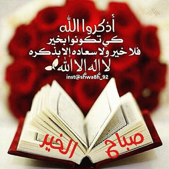 Mohamed Ale (@mohamed64769823) on Twitter photo 