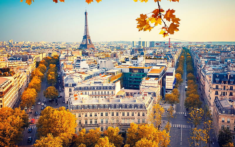#ConferenceSeries invites all the participants from all over the world to attend the 16th World Congress on Stem Cell Research during #May 03-04, 2023 in Paris, France which includes prompt keynote presentations, #Oral talks, #Poster presentations, and #Exhibitions.