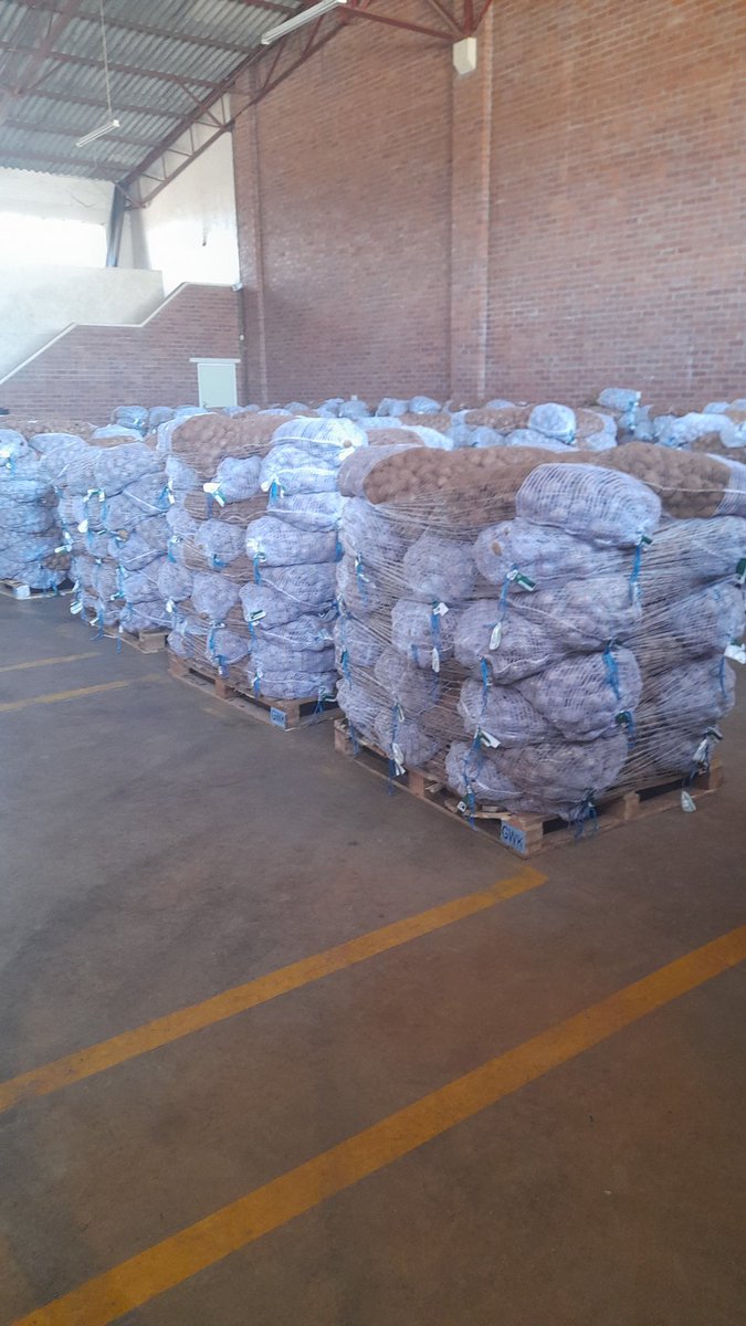 tubertek's tweet image. New arrivals. Plant ready potato seed. 

Tubertek Zimbabwe 0716614712