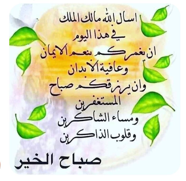 Mohamed Ale (@mohamed64769823) on Twitter photo 