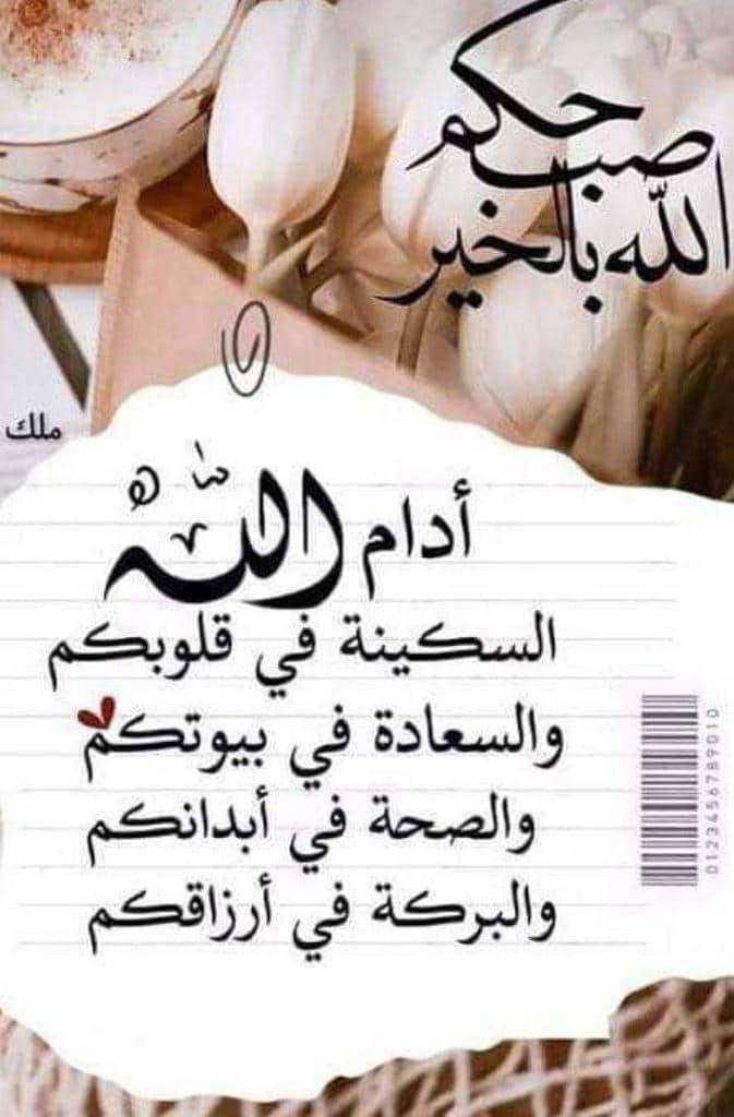 Mohamed Ale (@mohamed64769823) on Twitter photo 