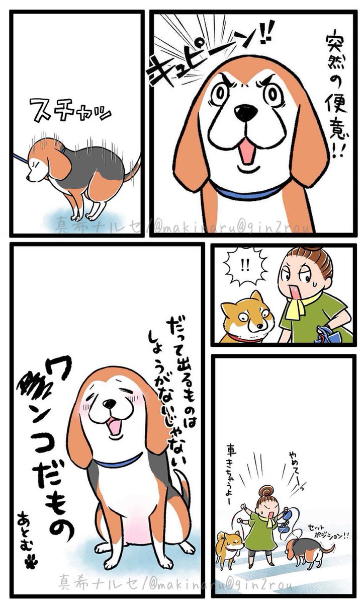 以前描いた漫画の抜粋です。
祖父母の愛犬アトムはどこでも急に用を足していて慌てたものでした。
しかし銀次郎を介護してきて気付きましたがおじいちゃんになると場所を選ばず💩は突然です。
元気でも当時アトムもシニアだったので我慢がきかなかったのかもと今になって思いました。
ごめんねアトム。 