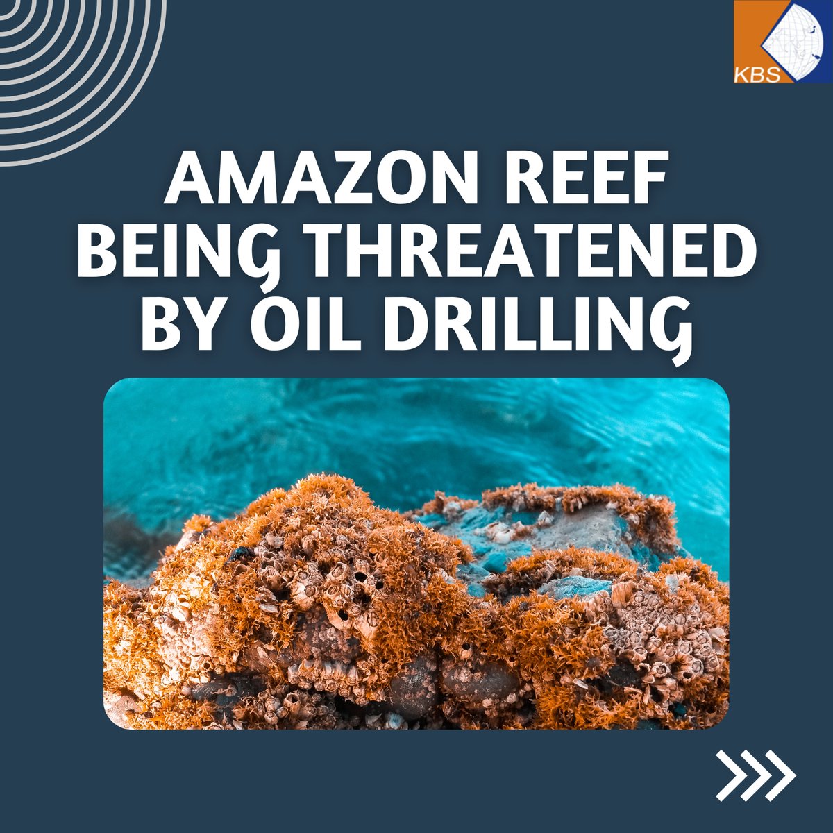 kbs_pvt_ltd's tweet photo. Check out this post to learn more about the serious threat that oil drilling poses to the unique ecosystem of the Amazon Reef.
#AmazonReef #ProtectTheAmazonReef #OilDrilling #BiodiversityConservation #MarineConservation #EcoFriendly #EnvironmentalProtection #climateaction https://t.co/qcIyRabmIn