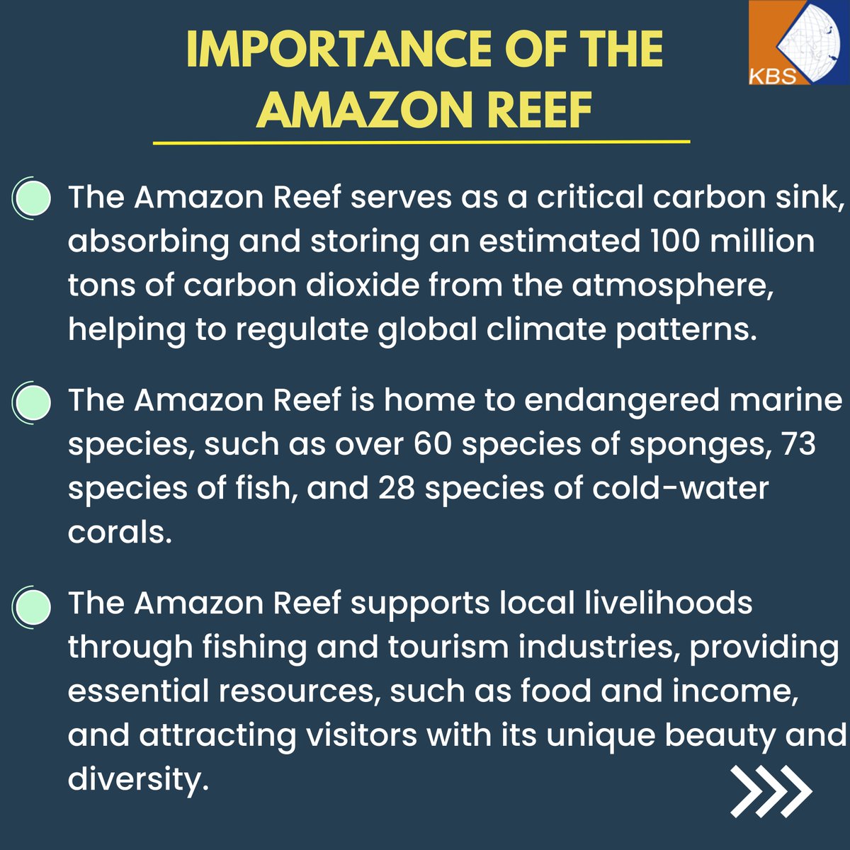 kbs_pvt_ltd's tweet photo. Check out this post to learn more about the serious threat that oil drilling poses to the unique ecosystem of the Amazon Reef.
#AmazonReef #ProtectTheAmazonReef #OilDrilling #BiodiversityConservation #MarineConservation #EcoFriendly #EnvironmentalProtection #climateaction https://t.co/qcIyRabmIn