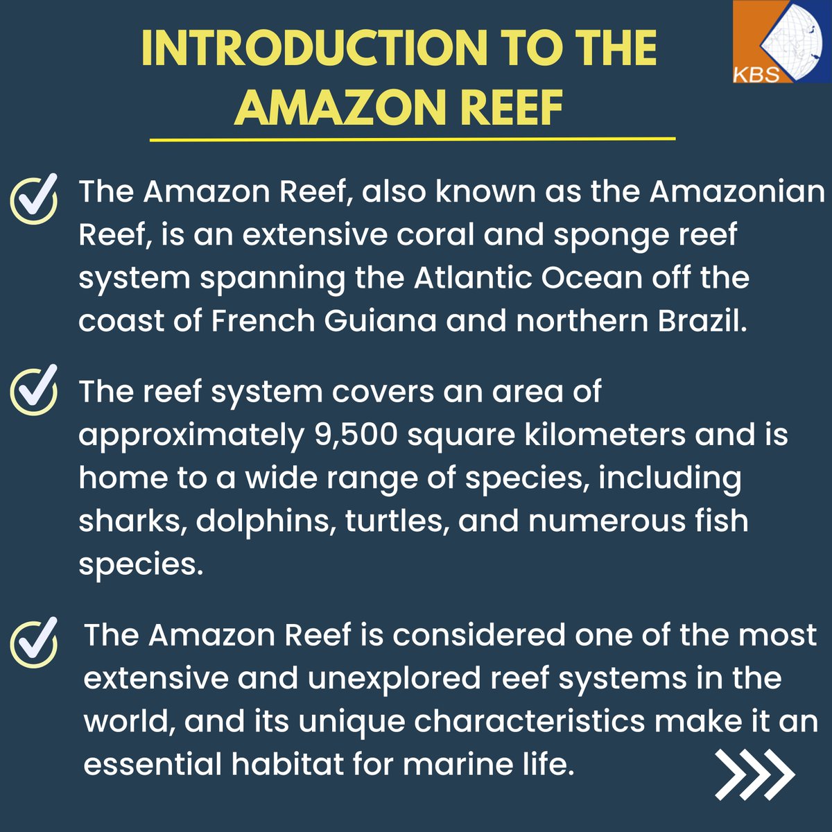 kbs_pvt_ltd's tweet photo. Check out this post to learn more about the serious threat that oil drilling poses to the unique ecosystem of the Amazon Reef.
#AmazonReef #ProtectTheAmazonReef #OilDrilling #BiodiversityConservation #MarineConservation #EcoFriendly #EnvironmentalProtection #climateaction https://t.co/qcIyRabmIn