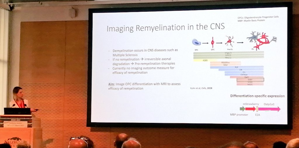 ESMI_society's tweet photo. Eliane Brechbuehl showing some impactful work on imaging remyelination with MRI
(She is also a professional musician!)
#oatp #MRI #contrast https://t.co/Yy9Ls83ef2