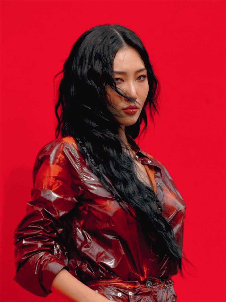 fan account on Twitter "face card never declines"