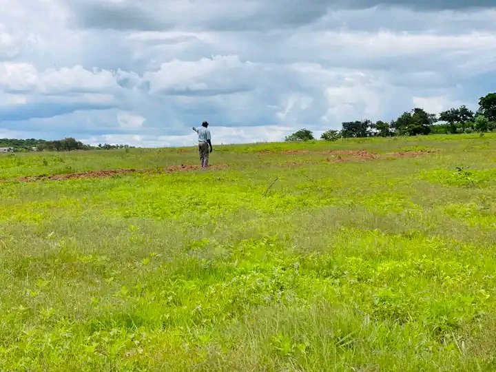 irischongo's tweet photo. We are open throughout the week from 08hrs to 17hrs……we are located in chalala off Given Lubinda Road near choppies at two sisters complex room 9
For those affordable legit plots 🌟🇿🇲
📞 0975717120/0975705555
#ShamahRealEstateAgency #ZedTwitter https://t.co/YHJWRl9hfw