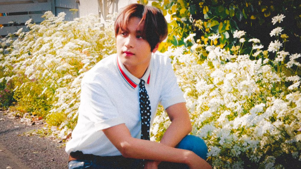🐻🌼 #haechan #해찬