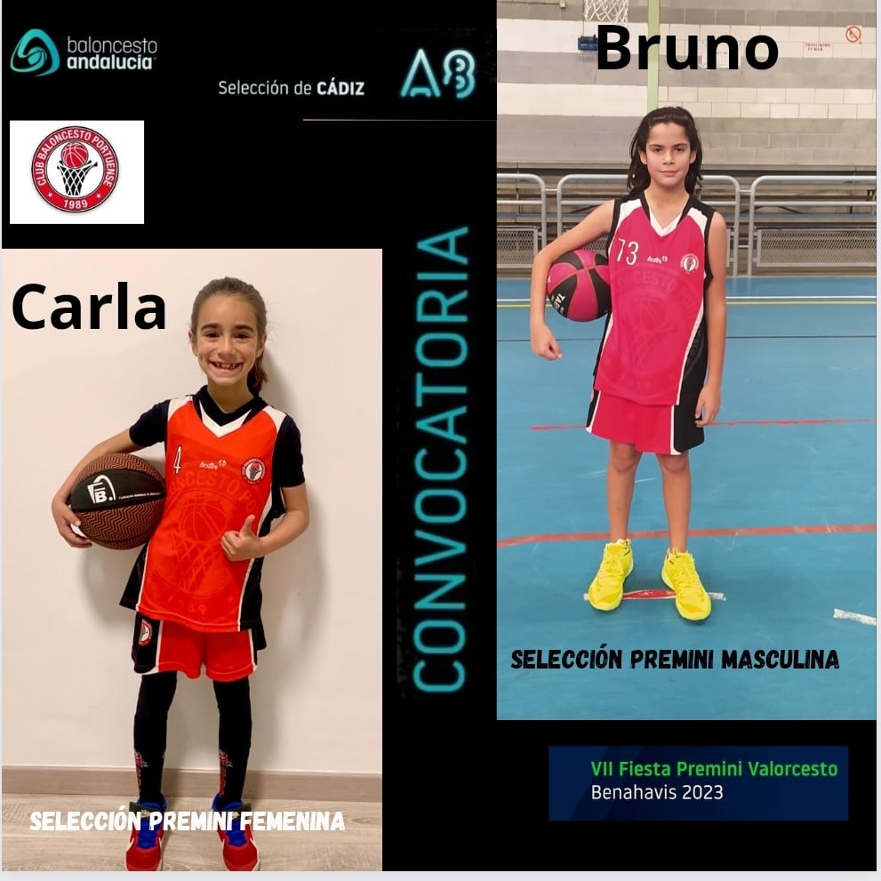 CLUB BALONCESTO PORTUENSE tweet media