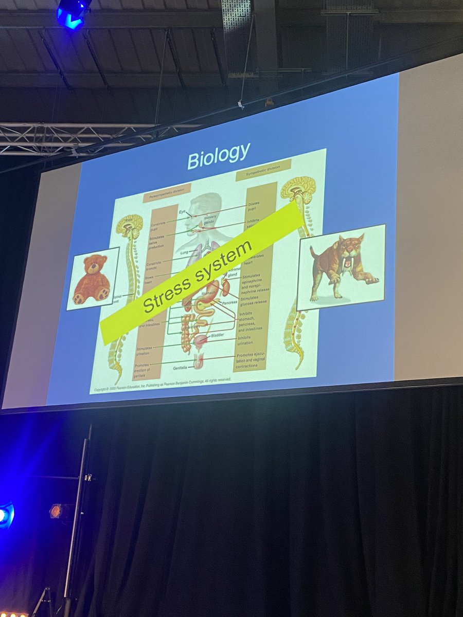 cest_services's tweet photo. Thank you @ssbc_nottingham for yesterdays conference on creating trauma-informed workforce. Looking at trauma informed strategies and defining trauma. 
“Trauma is what happens inside you when something bad happens outside you”. Gabor Mate.#donnastenton #DrsuzanneZeedyk https://t.co/9lLPcLJmU1