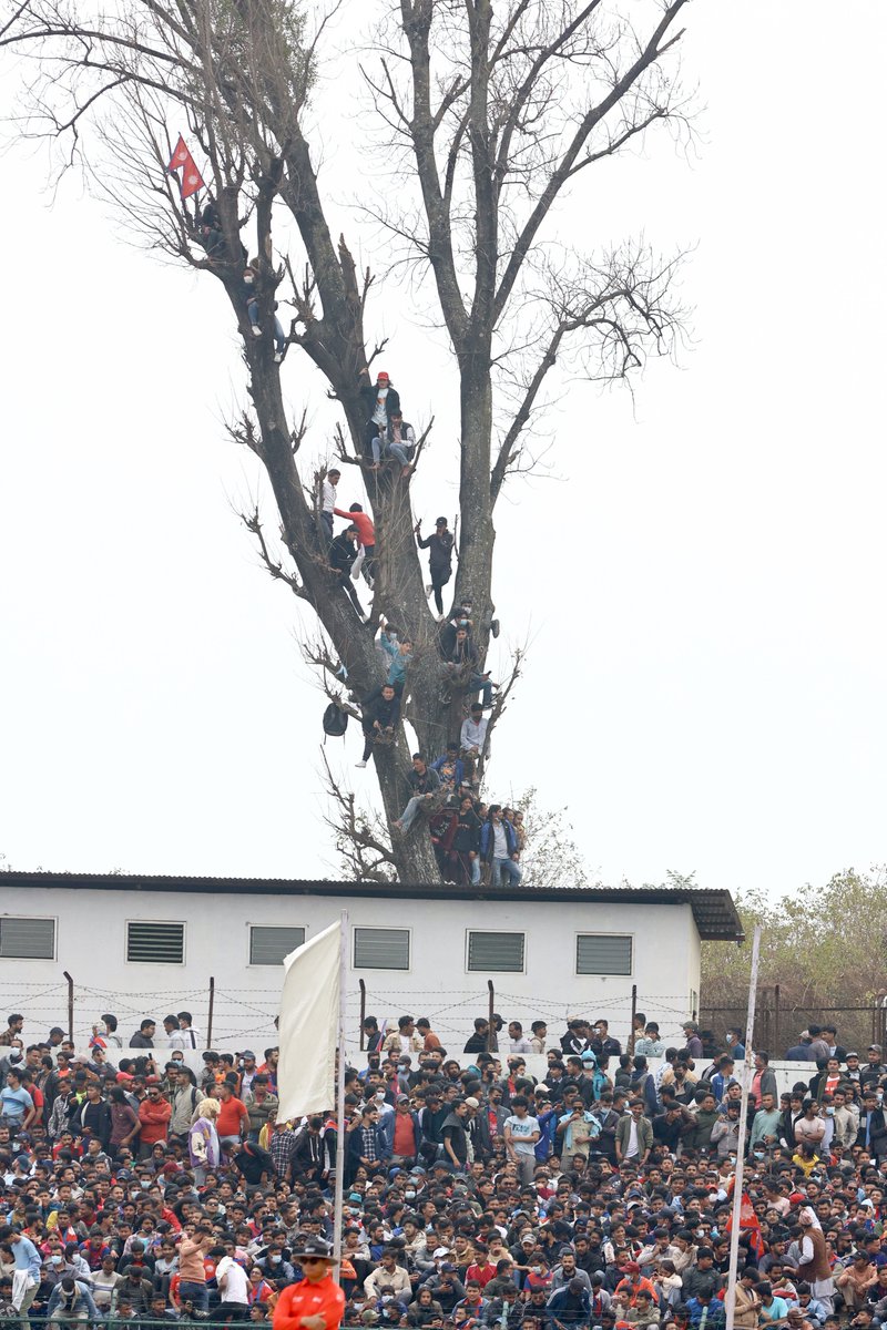 PaulRadley's tweet photo. Told these are "arboreal seats." Climbing to the top branch while carrying a Nepal flag is some skill. 🇳🇵55/3 in the 11th. 📸 @SubasTheOne_ https://t.co/SMJolWiMCm