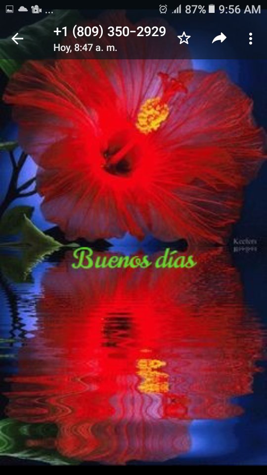 HOLA MI MUNDO QUERIDO!HOY NO DEJES DE SOÑAR NO DEJES DE REIR NO DEJES DE LUCHAR RECUERDA QUE DIOS TE DA LA FUERZA Y LA INTELIGENCIA Y TU LA UTILIZAS PARA LLENAR TU VIDA DE LAS MARAVILLAS DEL MUNDO ASI QUE BRILLA COMO EL SOL,  LA LUNA Y NUNCA APAGUES TU LUZ #buenosdiasatodos