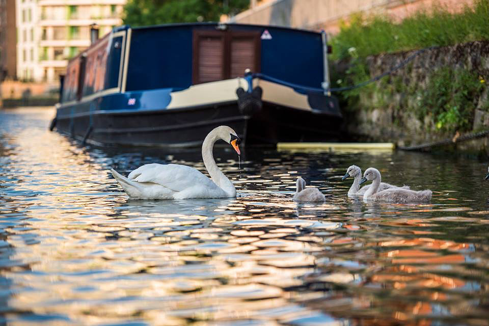 Glide through the tranquil waters of Hackney taking in the delights of spring 🌿
Our Kayak to Crate adventures are now on sale! 
#secretadventures #kayaktocrate #visitlondon #visithackney