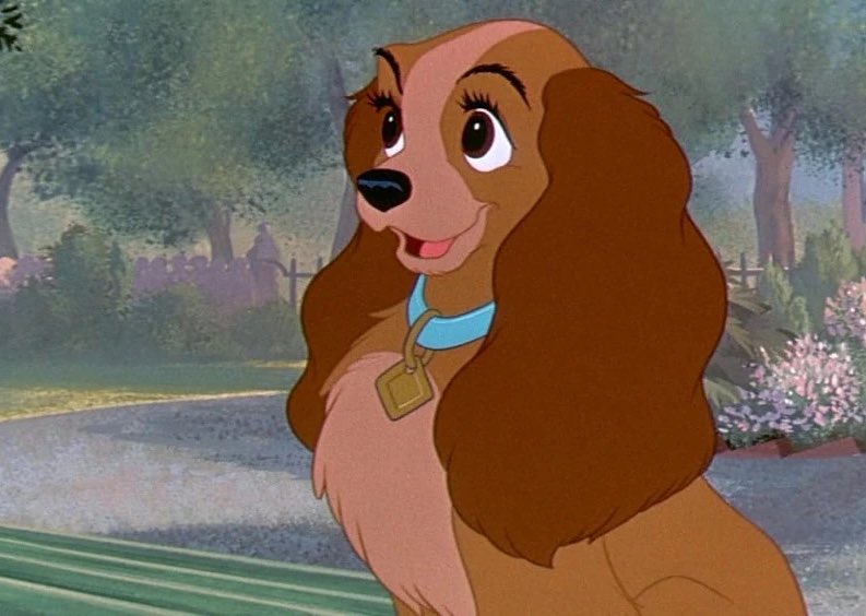 amoaymen 🇹🇳 tweet media