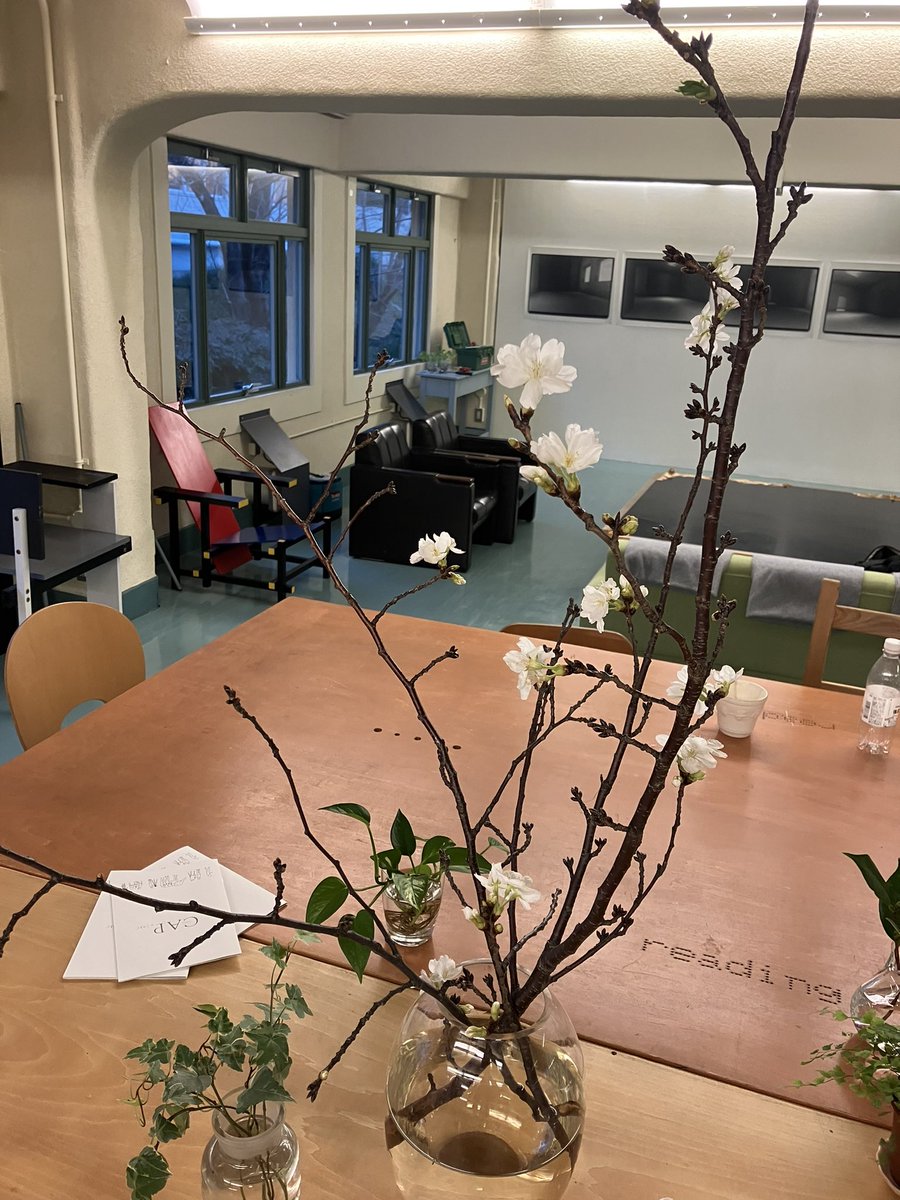 CAP_ART_PROJECT's tweet photo. タニグチです！
河村さんの桜、だいぶ前に切ってたのに咲いてらっしゃいます…普通のソメイヨシノに比べて花の下が咲いてからもキレイな緑です、！かわいいな…
#cap_kobe
#kobestudioy3 https://t.co/qRzvMtVJ22
