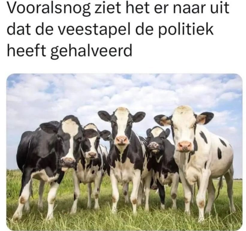 Jan Willem Van Meeteren (@meeteren_jan) on Twitter photo 