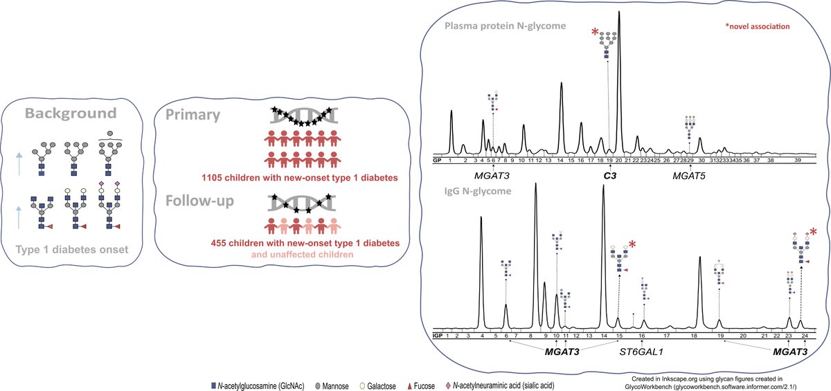 Najda Rudman, PhD (@najdarudman) on Twitter photo Our study is now published in <a href="/DiabetologiaJnl/">Diabetologia</a>. We identified genes driving altered N-glycosylation of plasma proteins and IgG we found earlier in new-onset #type1diabetes and revealed potential underlying molecular mechanisms. rdcu.be/c7r8r
<a href="/GornikLab/">Olga Gornik's lab</a> <a href="/hrzz_science/">Croatian Science Foundation</a> Our study is now published in <a href="/DiabetologiaJnl/">Diabetologia</a>. We identified genes driving altered N-glycosylation of plasma proteins and IgG we found earlier in new-onset #type1diabetes and revealed potential underlying molecular mechanisms. rdcu.be/c7r8r
<a href="/GornikLab/">Olga Gornik's lab</a> <a href="/hrzz_science/">Croatian Science Foundation</a>