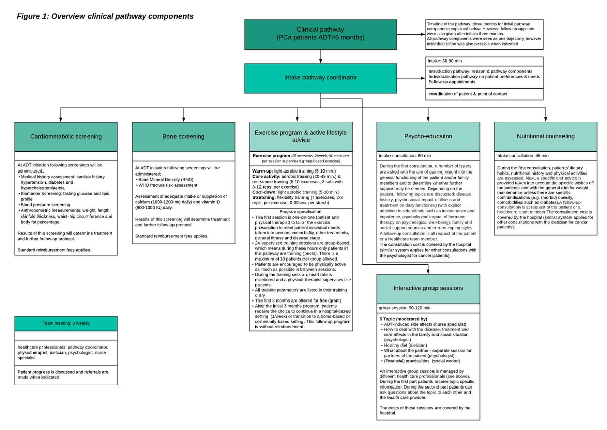ReneeBultijnck's tweet photo. (2/7 #medtweetorial) 
Goal current study: to explore experiences of men with #prostatecancer in this #clinicalpathway with supervised group-based #exercise program to combat #ADT induced side effects. 

Have a look at the pathway ⬇️ https://t.co/yoIiVxdO2c
