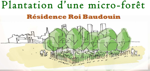 AntBertrand's tweet photo. Plantation ce matin d'une #MicroForêt à #WoluweSaintPierre sur le site de la résidence Roi Baudoin du #CPAS
#biodiversite #arbres #foret #nature #Woluwe #Woluwe1150 @alainmaron https://t.co/Kt7tjpeisp