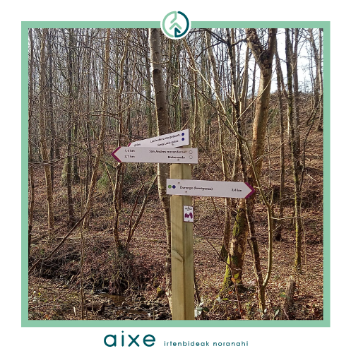 aixegune's tweet photo. Durangoko Udalarekin elkarlanean garaturiko ibilbide-sare honekin, landa-inguruneko baliabideak eta natura-ondarea gerturatu nahi dizkiezuegu. 
Bertan proposatzen diren txangoekin erabiltzaileek herri-jabetzako basoez gozatu ahal izango duzue. 
@DurangoBizkaia 
@DurangokoUdala https://t.co/YriTIXWlw1