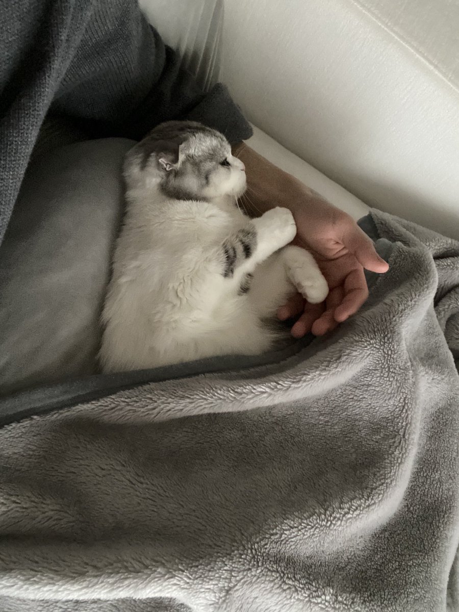 うとうと☺️