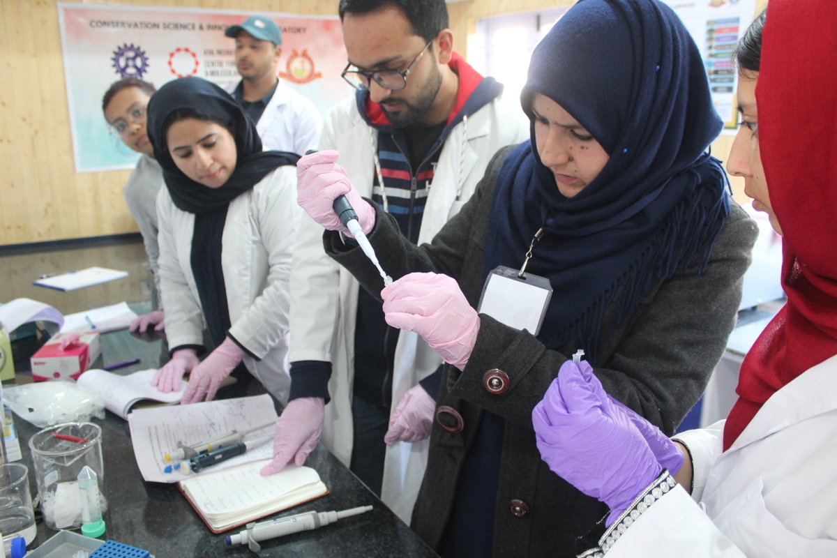 AIC_CCMB's tweet image. We received amazing feedback for Hands-on training on #DNATechniques isolation and #QuantitativePCR techniques workshop. 
A joint collaboration by @AIC_CCMB,  @ccmb_csir, CCMB Lacones, @IKP_SciencePark and at CORD @KmrUniversity, Srinagar.

Highlights : youtu.be/LqlYOQK8R88