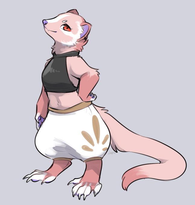 珍しく服着てるOC
ハクビシンの姉御 