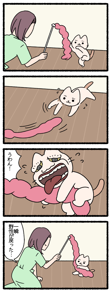 ねこようかい うわん #ねこようかい 