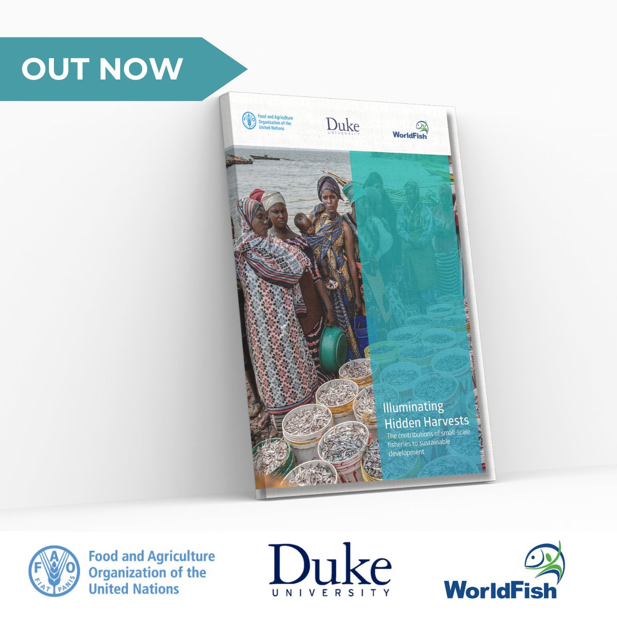 💥OUT NOW | #IlluminatingHiddenHarvests: the contributions of #SmallScaleFisheries to #SustainableDevelopment 

@FAOfish @DukeU @WorldFishCenter  

📌fao.org/documents/card…