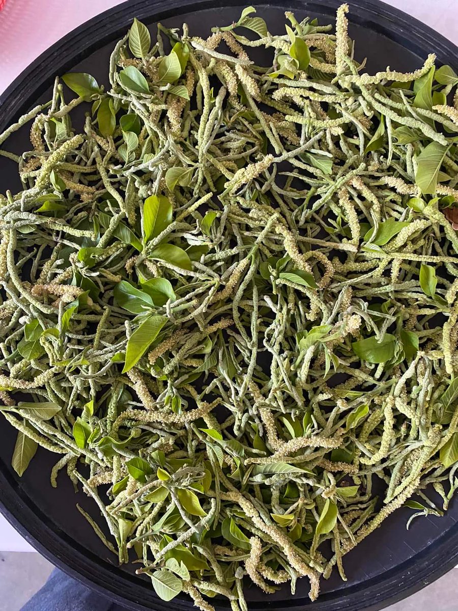 myscentsation's tweet photo. Guess what is the name of this famous Ilocano veggie😯😆
#myalltimefavorite #ilocanodishes gonna miss province life! https://t.co/dzsK0oCfwz