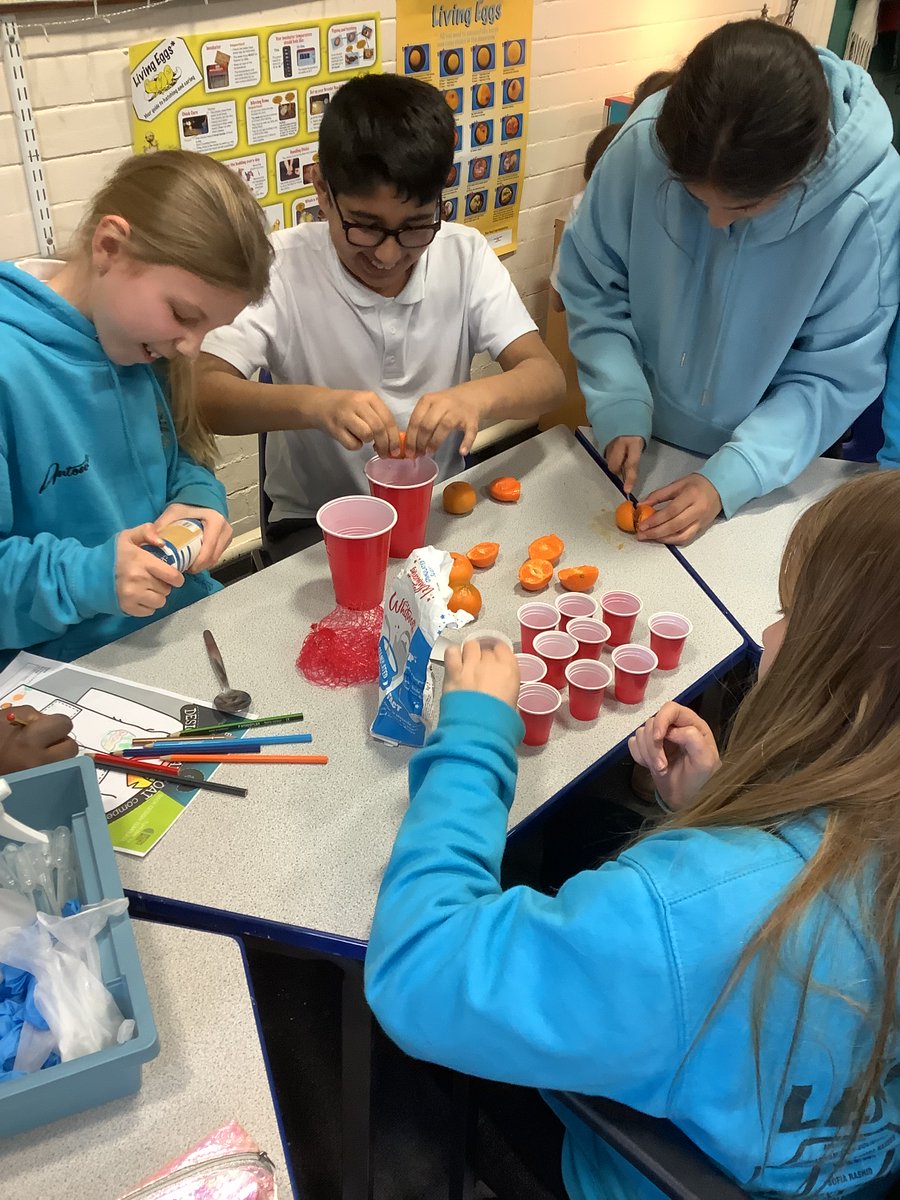 Oxbridge Lane PS (@oxbridg3lnps) on Twitter photo 