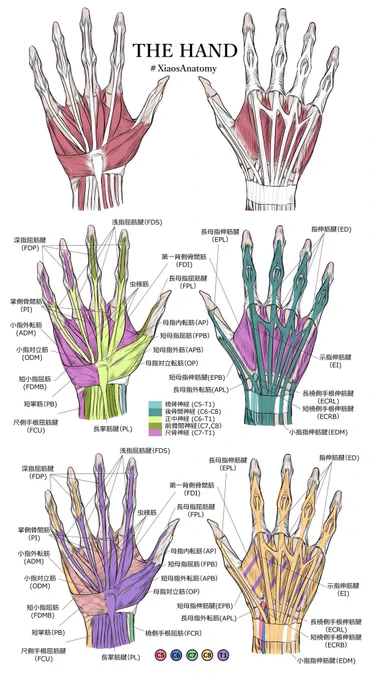 たくさん見ていただいてるので宣伝です。たまに絵を描いてる医者です。よろしくお願いします Hello. I am a medical doctor and my hobby is painting. Here are my paintings→  