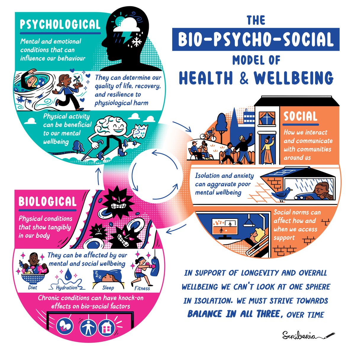 scriberian's tweet photo. Discover the significance of a holistic approach to #health & wellbeing as we celebrate #HealthcareScienceWeek2023, with our collaborative #infographic with @OpenUniversity for @BBCIdeas, showcasing the interplay between the bio-phycho-social model ๐ https://t.co/5Wpr0Q9oRK https://t.co/LEc35J4hx5
