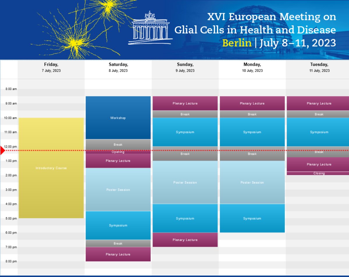 Congratulations to all main authors of accepted posters for the upcoming #gliameeting! Notifications of poster acceptance have just been sent. Abstracts of the posters and lectures can be found in the interactive online programme on the #glia2023 website: loom.ly/_gh1BII