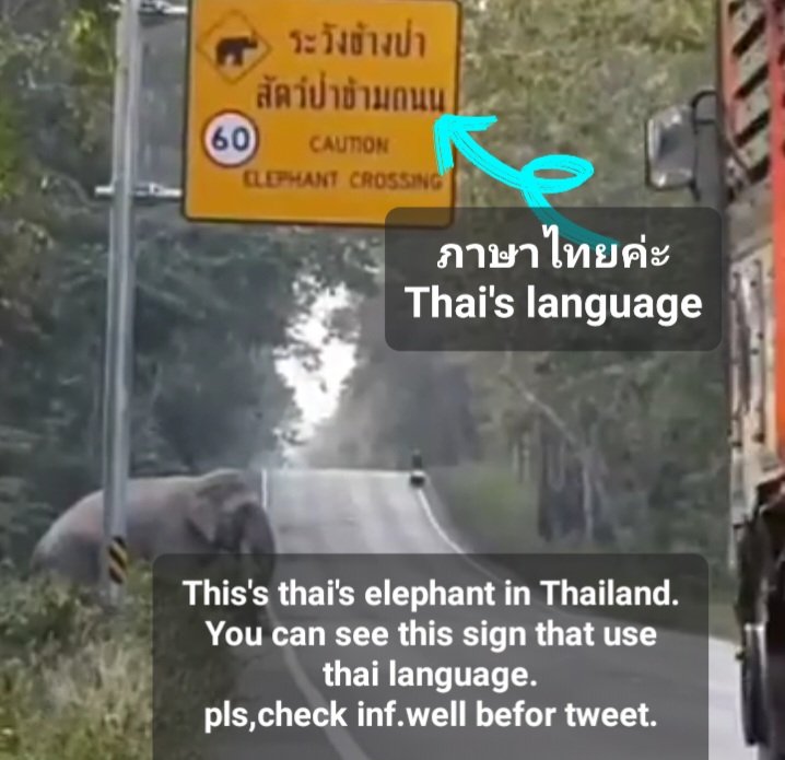 eommajk's tweet photo. @WallStreetSilv Plssssssss🙄 It's not cambodain elephant. https://t.co/PKYZ3uxN1N