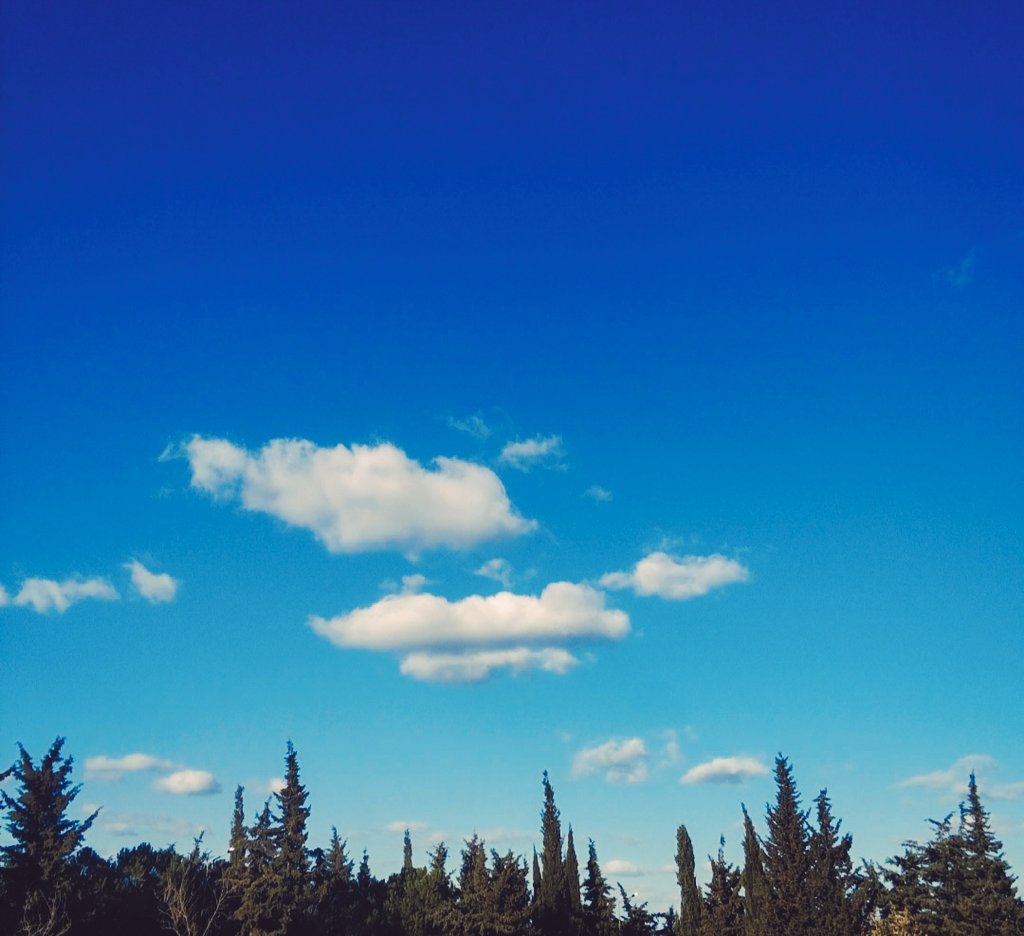 #blue #sky

Never forget pure feelings in the confusion of life. Pure emotions are endless emotions.