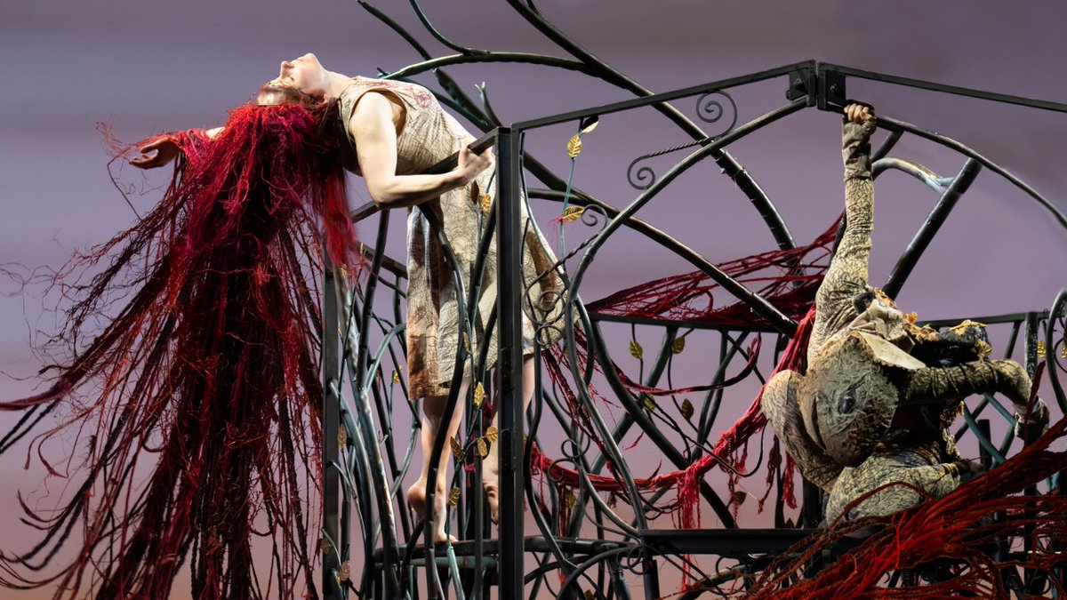 Leeds Dance Partnership tweet media