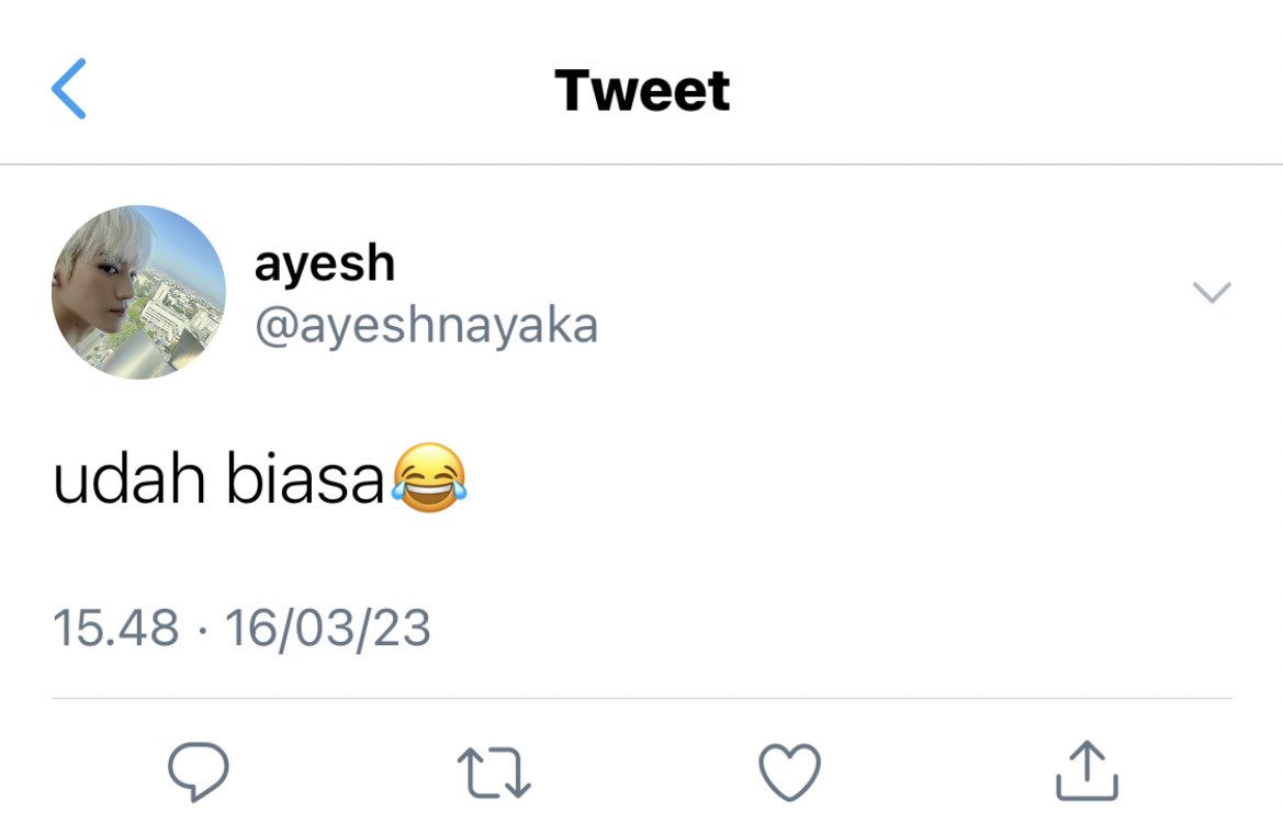 chia tweet media
