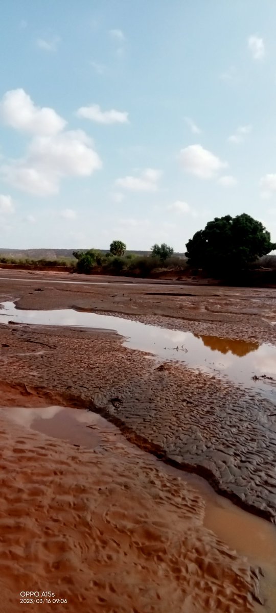Ibrahim77Sheikh's tweet photo. Climate change affected the pastoralist community. River dawa which was source of both domestic and irrigation water has dried up. https://t.co/JBAajg7fHc