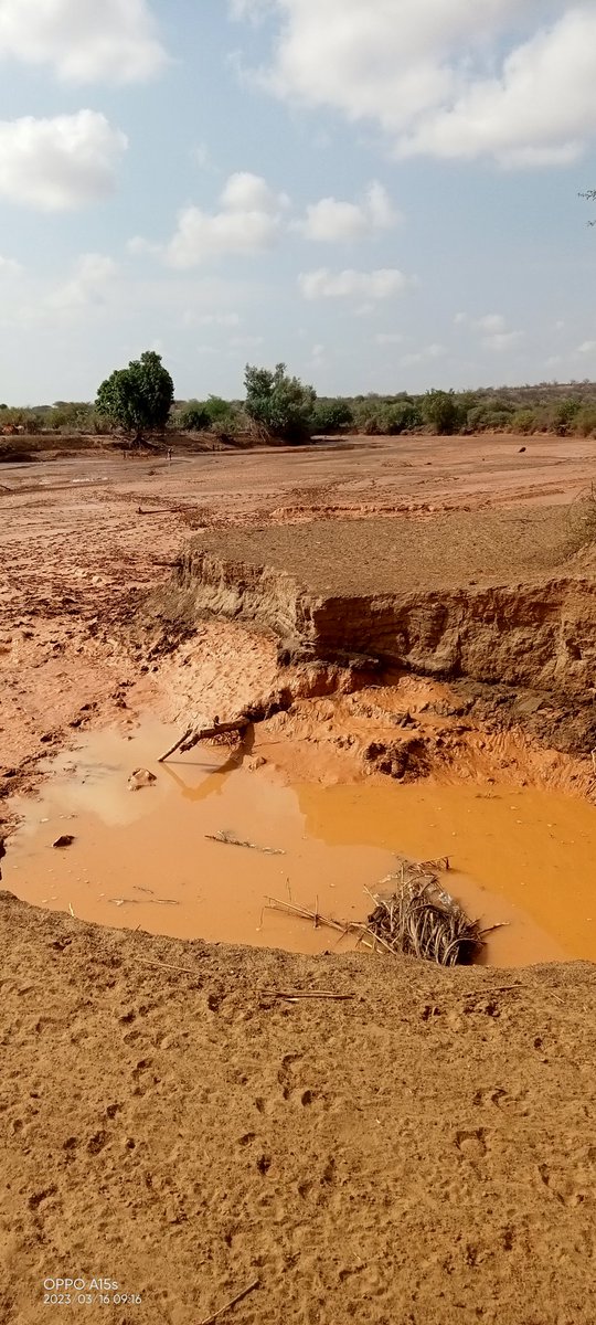 Ibrahim77Sheikh's tweet photo. Climate change affected the pastoralist community. River dawa which was source of both domestic and irrigation water has dried up. https://t.co/JBAajg7fHc