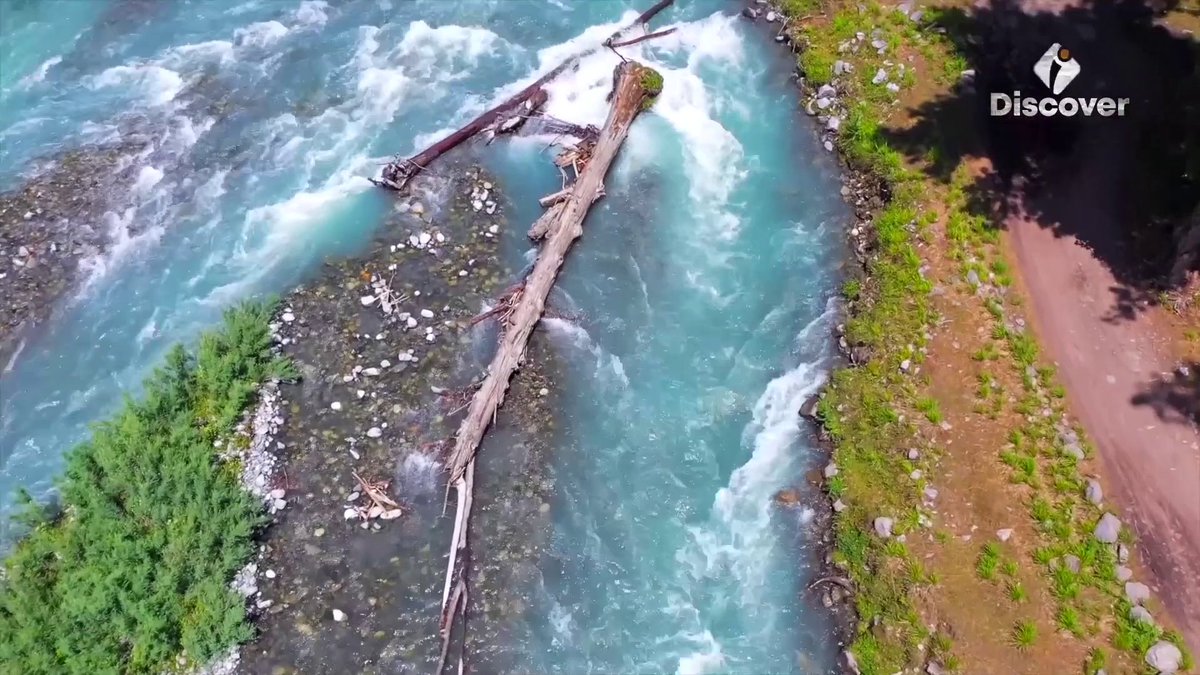 DiscoverpakTv's tweet image. Beautiful scenic views of Kumrat

#Kumrat #beauty  #Views #pakistan #scene #KPK #beautyofpakistan