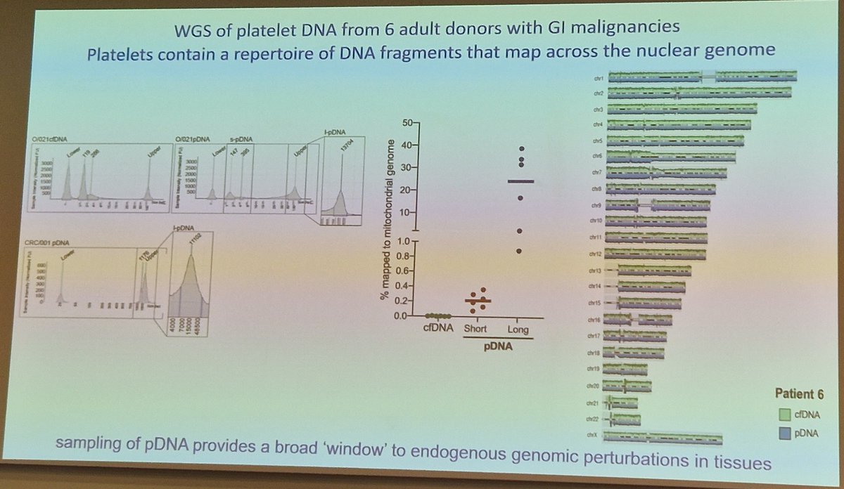 LambAlastair's tweet image. @beth_psaila kicks off first session of day @OxfordCancer #OxSymp23 on how #megakaryocytes &amp;amp; plts provide window into variants as they gobble up #CellFreeDNA
•Liquid biopsy
•Importance of nucleosomal footprint
•full representation of gDNA
@MRC_WIMM @OxfordMedSci
