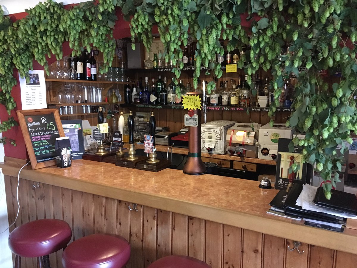 Hop and Vine, Hull tweet media